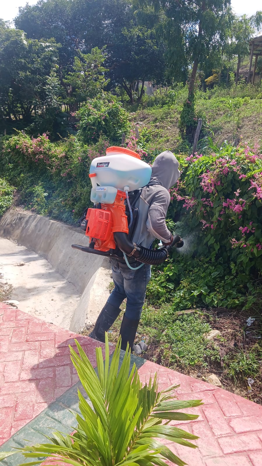 🦟 Operativo de Fumigación en el Casco Urbano: Luchando Contra el Dengue en Nuestra Comunidad 🦠
